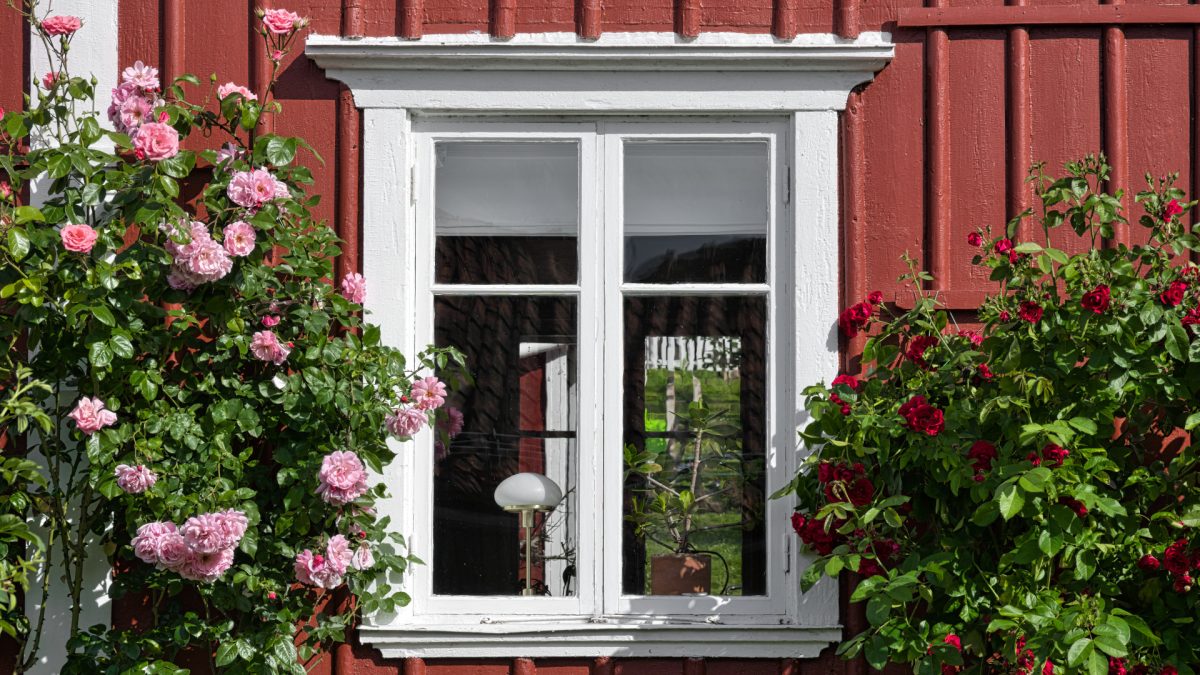 Schwedens zeitlose Rituale